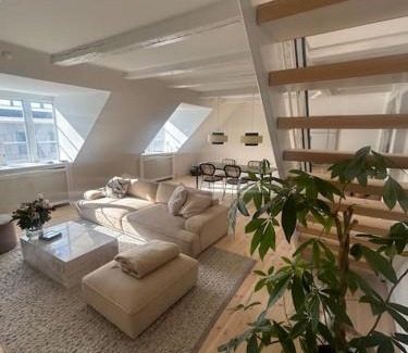 Copenhagen K Apartment | Kings apt, doublex w water view & private terrasse