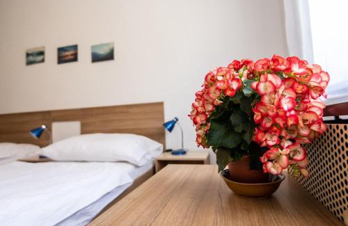 Sopron Apartment | Kis János Apartman