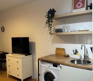 Kiseleff Apartment | Kiseleff Park Studio