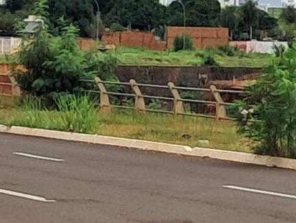 Taquarussu Other | Kitnet