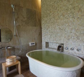 Togo Onsen Hotel | Kizukuri no Yado Hashizuya