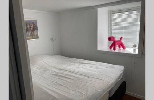 Bergenhus Apartment | Kjellerleilighet - nært Haukeland sykehus.