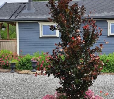 Afjord Apartment | Kleines Haus am Fjord