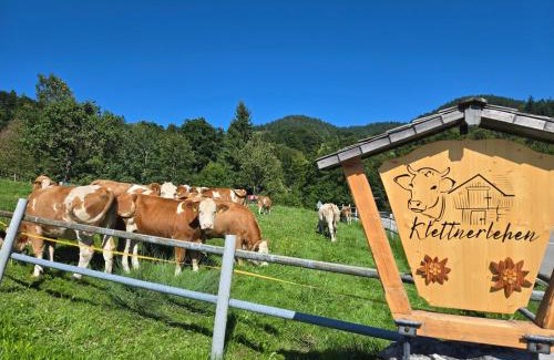 Ramsau bei Berchtesgaden Apartment | Klettnerlehen