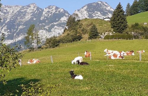 Ramsau bei Berchtesgaden Apartment | Klettnerlehen