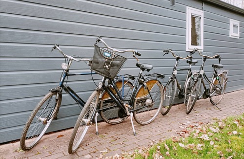 Municipality of Ooststellingwerf Ski Chalet | Knus 4 Persoons Chalet met 4 Leenfietsen Nabij Natuurgebieden
