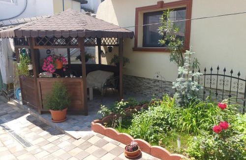 Old Town House | Kogalniceanu House