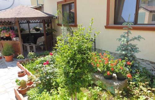 Old Town House | Kogalniceanu House