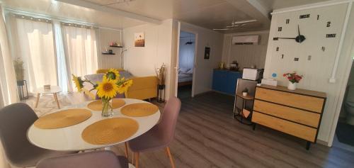 Fantanele Apartment | Konténer kulcsosház