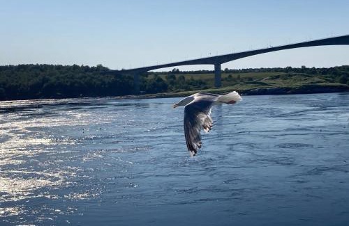 Bodo House | Koselig rom med stue i Bodø sentrum