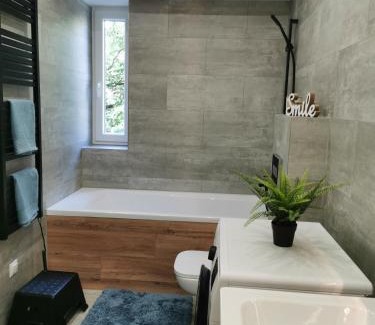 Dunaujvaros Apartment | Kossuth 10