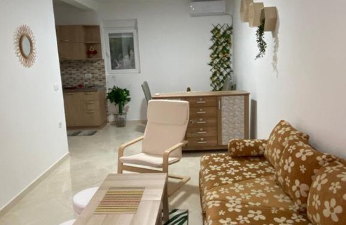 Radanovici Apartment | Kotor Apartman Green Sailor