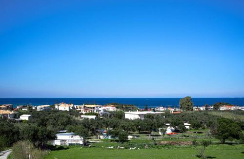 Argassi Apartment | Kotrona Farmhouse - Argassi Zakynthos