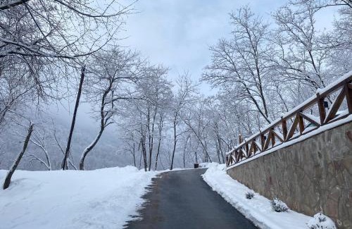 Stara Planina House | Kuca za odmor ,Balkan”