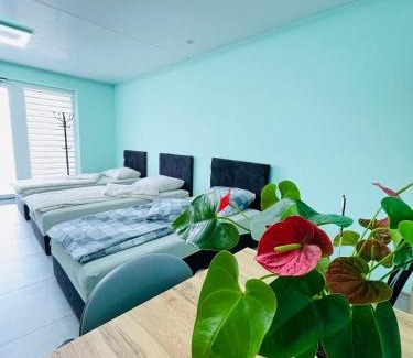 gmina Złoczew House | Kwatera - Pod Wiatrakiem, JACUZZI ZEWNĘTRZNE