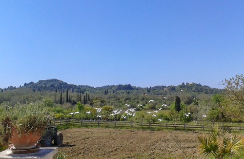 Petaleia Cottage | Kydoni Cottage at Aroggia Farm by JJ Hospitality-