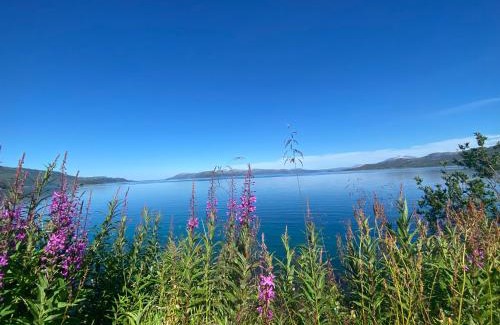 Karlsy Other | Lávvu