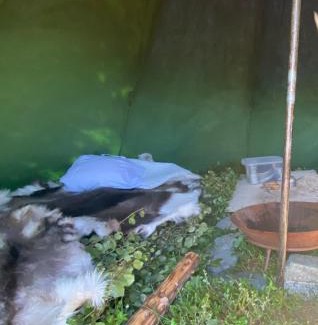 Karlsy Other | Lávvu