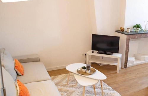 Quartier Hyper-Centre Apartment | L'étoile Grenobloise Climatisé Dans L'hyper-centre