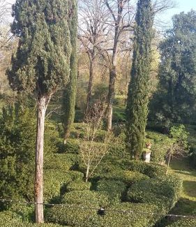 Oltrarno Apartment | L'Albero di Garibaldi