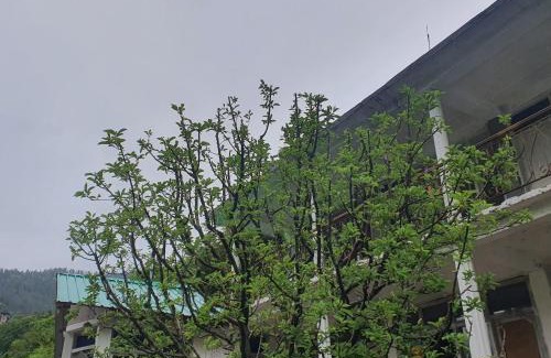 Tosh Hotel | L'Ashrum Cafe & Inn