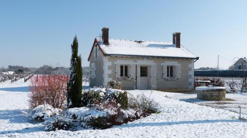 Saint-Georges-sur-Cher House | l'Ecrin au coeur des vignes