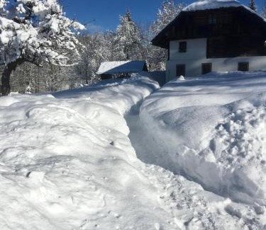 Tarvisio Apartment | La Baita di Aclete