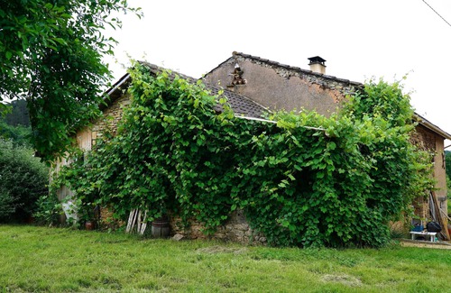 Siorac-en-Perigord Cottage | La Bergerie en Périgord Noir, 1 bedroom stone cottage with terrace and pool