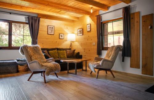 Porumbacu de Jos Ski Chalet | La Brazi - by 663A Mountain Chalet