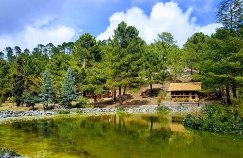 Riopar Ski Chalet | La cabaña del lago en ZAFIRO LAGUNAZO Parque Natural del Río Mundo