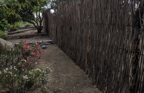 Todos Santos Cottage | La Cachora Beach Casita