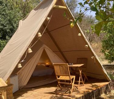 El Valle Other | La calma entre naranjos