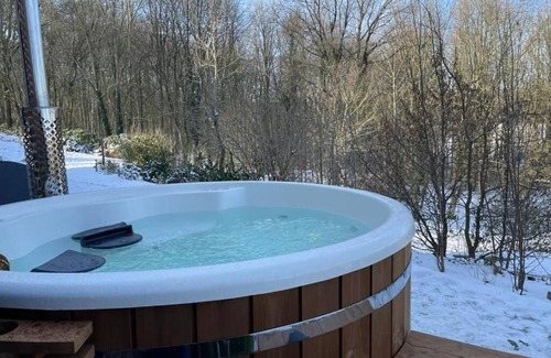 Ellezelles Apartment | La Canopée des Arbres Juliette! Relax and enjoy yourself at the edge of the forest!
