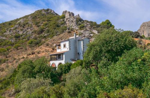 Alora House | La Casa de Alejandro