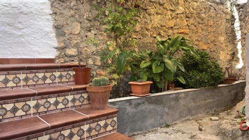 Tozar House | La Casa de Domingo