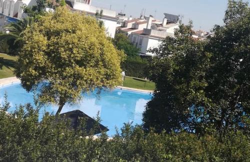 Mairena del Aljarafe House | La Casa de Las Flores