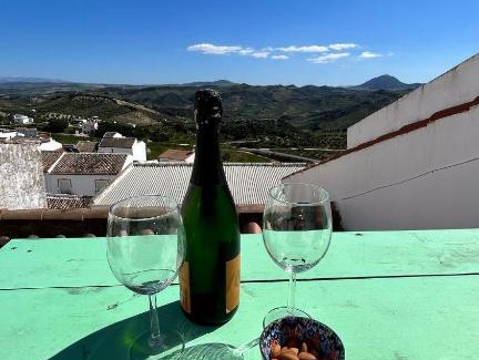 Olvera House | La Casa de los Colores