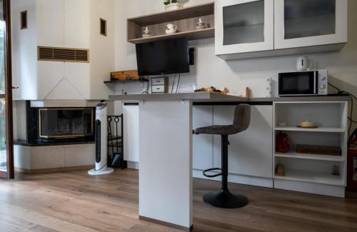 Ravascletto Apartment | La Casa degli Sbilfs - Wi-Fi, Netflix e Garage Box , a 2 minuti dallo Zoncolan