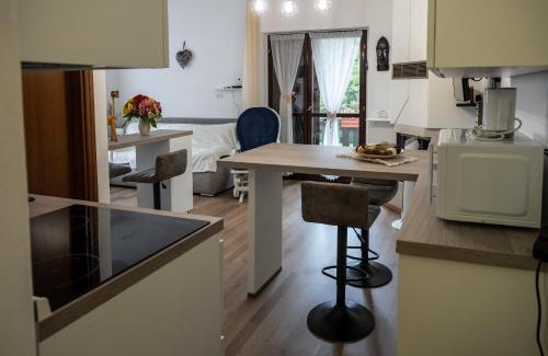 Ravascletto Apartment | La Casa degli Sbilfs - Wi-Fi, Netflix e Garage Box , a 2 minuti dallo Zoncolan