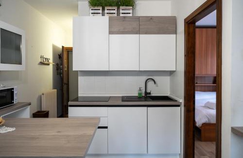 Ravascletto Apartment | La Casa degli Sbilfs - Wi-Fi, Netflix e Garage Box , a 2 minuti dallo Zoncolan
