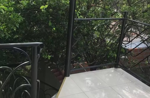Armero Apartment | La casa del árbol