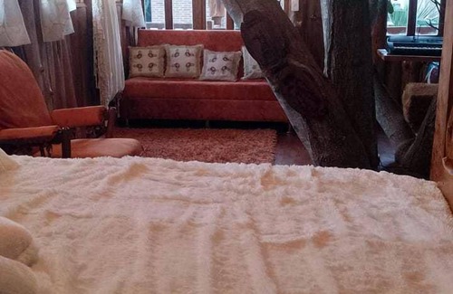 Nayon Hotel | La Casa del Arbol