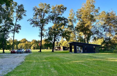 Panguipulli Bed & Breakfast | La Casa del Bosque