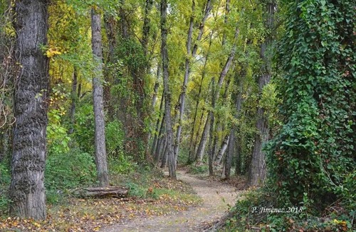 Mogon Apartment | La Casa del Río, piscina natural a 5 min en coche