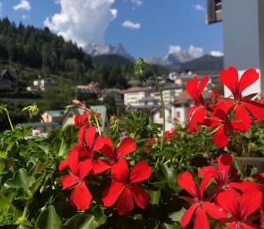 Pieve di Cadore Apartment | La casa di Monte Ricco