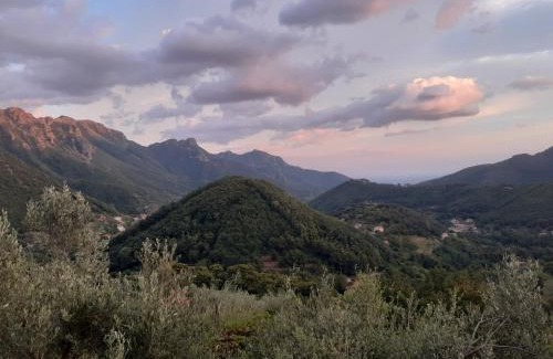 Tramonti House | La Casa in Vigna