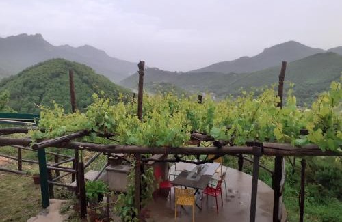 Tramonti House | La Casa in Vigna