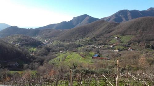 Tramonti House | La Casa in Vigna