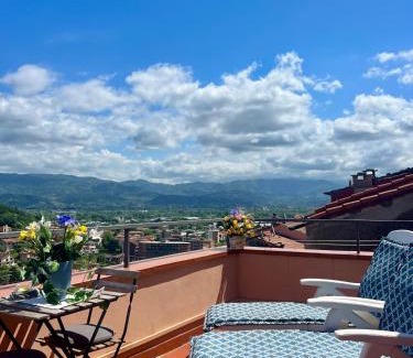 Arcola House | La casa nei carobi