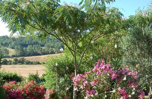 Casole d'Elsa House | La Casetta - lovingly designed vacation home in the countryside, panoramic location, pool